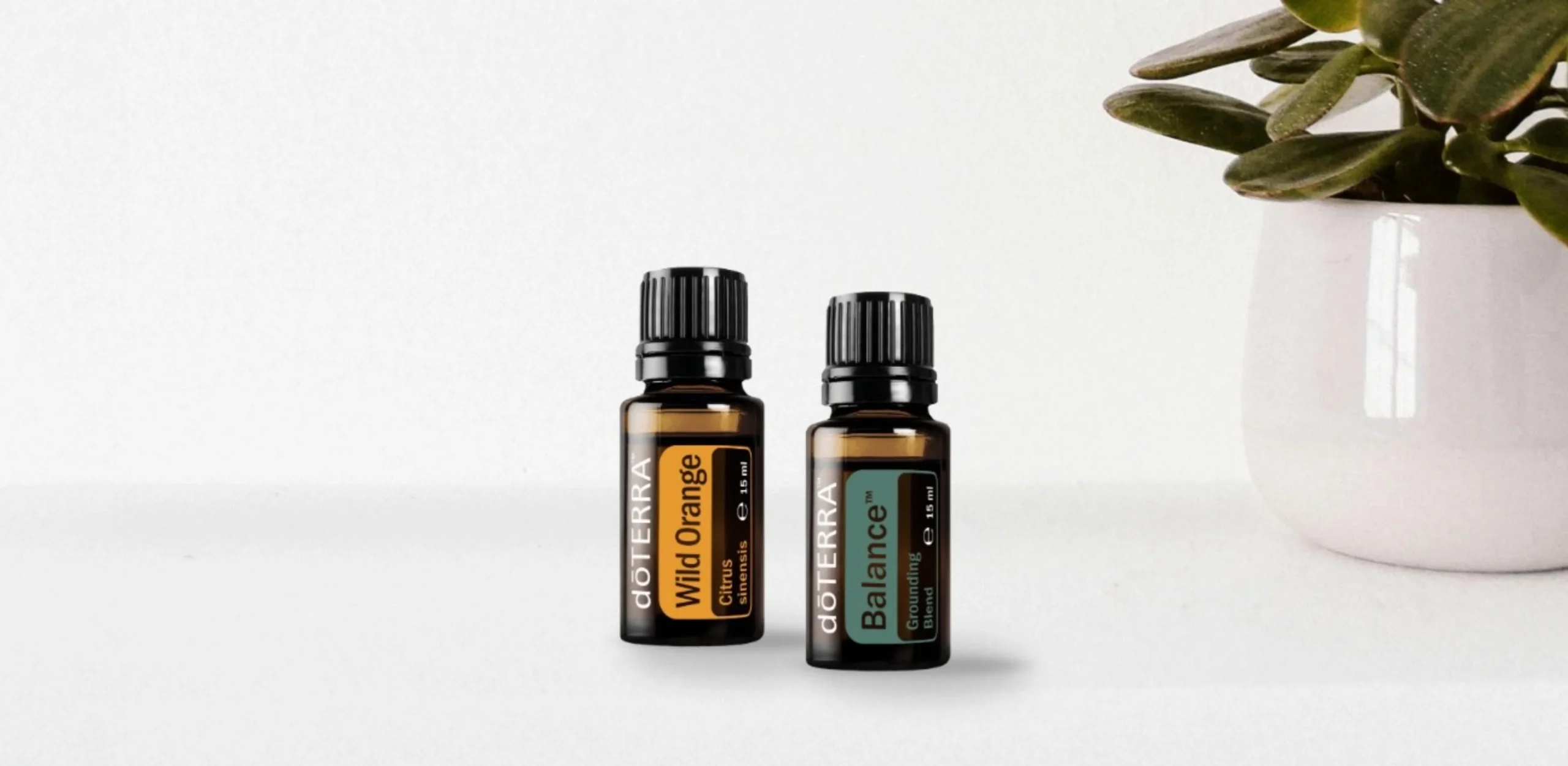 Oferta miesiąca aromaterapia: olejk z dzikiej pomarańczy i mieszanka Balance doTERRA